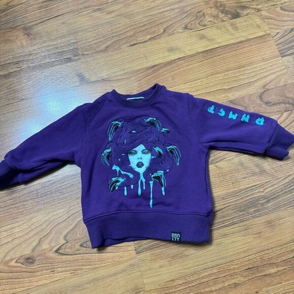 Denimicity sweatshirt 2T/3T - Picture 1 of 2